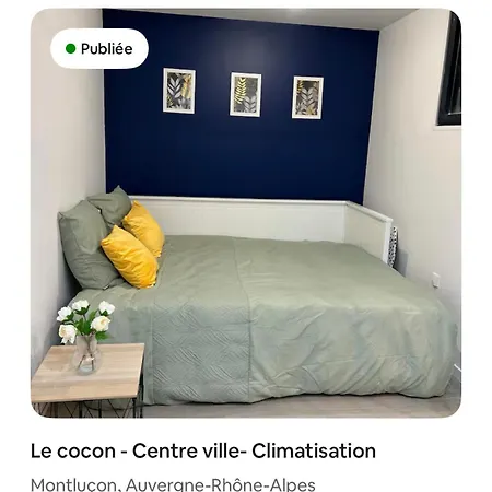 Le Cocon - Centre - Climatise Apartment *
